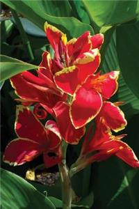 Journal Bright Tropical Flower