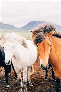 Two Pretty Horses on a Windy Day Journal