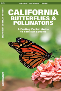 California Butterflies & Pollinators