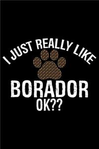 I Just Really Like Borador Ok?