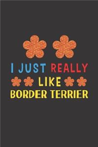 I Just Really Like Border Terrier