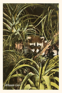 Vintage Journal A Florida Coon, Pineapples