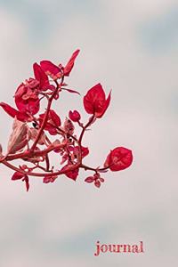 Journal