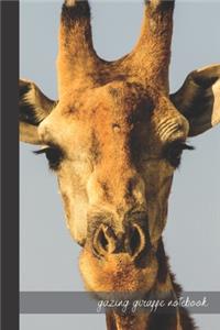 gazing giraffe notebook