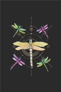 Dragonflies