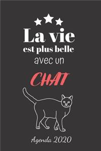 La vie est plus belle avec un chat