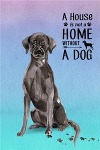 A House is Not a Home Without a Dog