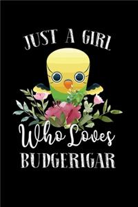 Just a Girl Who Loves Budgerigar