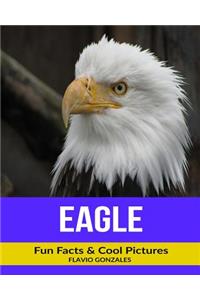 Eagle: Fun Facts & Cool Pictures