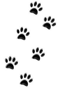 Dog Paw Tracks