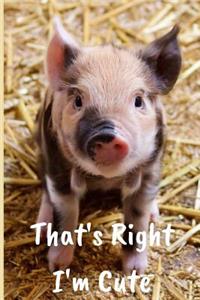 Pig Lovers Blank Lined Journal Notebook