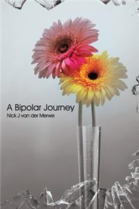 A Bipolar Journey