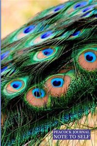 Peacock Journal Note to Self