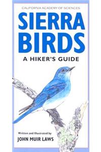 Sierra Birds: A Hiker's Guide