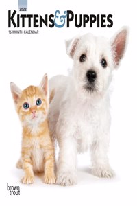Kittens & Puppies 2022 Mini