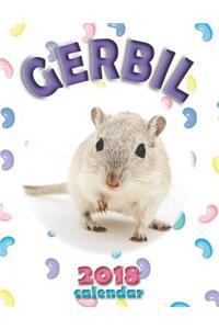 Gerbil 2018 Calendar (UK Edition)