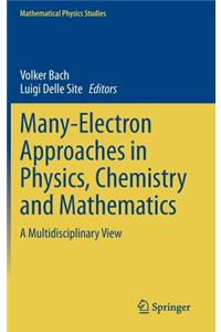 Many-Electron Approaches in Physics, Chemistry and Mathematics