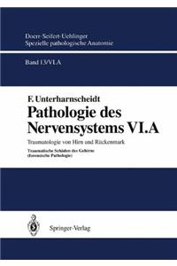 Traumatologie Von Hirn Und Ra1/4ckenmark a