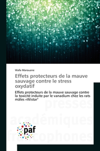 Effets protecteurs de la mauve sauvage contre le stress oxydatif