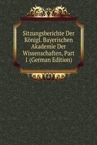 Sitzungsberichte Der Konigl. Bayerischen Akademie Der Wissenschaften, Part 1 (German Edition)