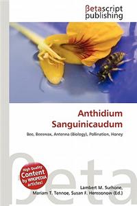 Anthidium Sanguinicaudum