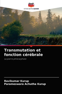 Transmutation et fonction cérébrale