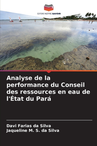 Analyse de la performance du Conseil des ressources en eau de l'État du Pará