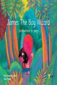 James The Boy Wizard: Somewhere to sleep