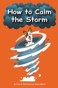 How to Calm the Storm