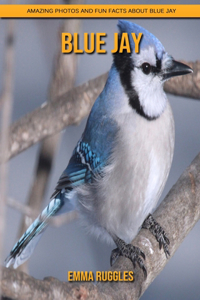 Blue Jay