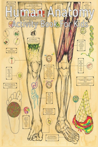 Human Anatomy Activity Book for Kids