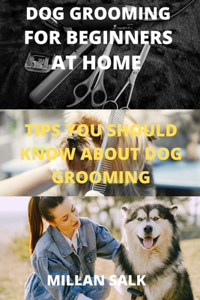 Dog Grooming for Beginners at Home