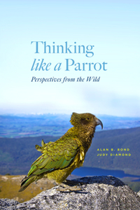 Thinking Like a Parrot