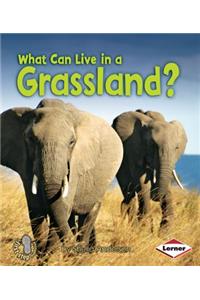 What Can Live in a Grassland?
