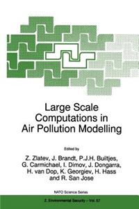 Large Scale Computations in Air Pollution Modelling