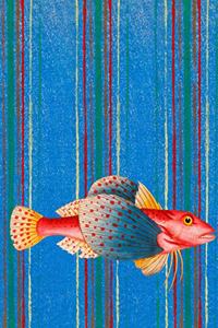 Redfish