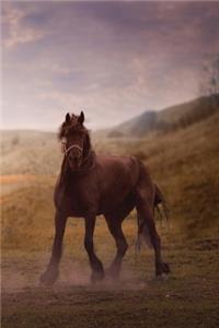 Brown Horse