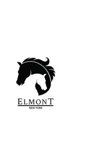 Elmont New York