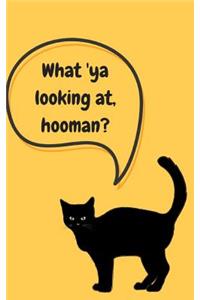 What 'ya Looking AT, Hooman?