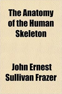 The Anatomy of the Human Skeleton