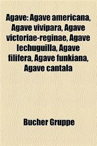 Agave