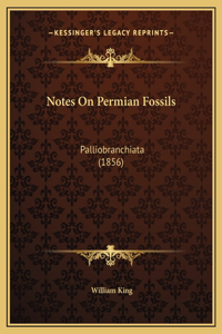 Notes On Permian Fossils