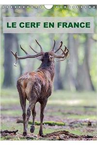 Cerf En France 2017