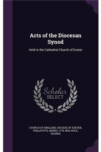 Acts of the Diocesan Synod