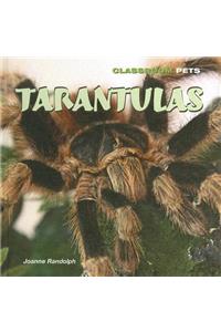 Tarantulas