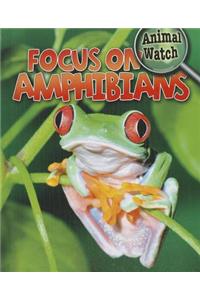 Focus on Amphibians