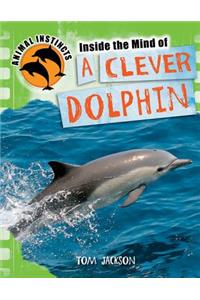 Inside the Mind of a Clever Dolphin