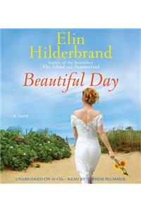 Beautiful Day Lib/E