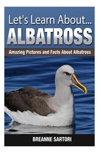 Albatross: Amazing Pictures and Facts about Albatross