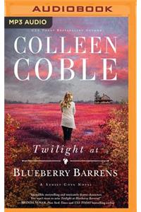 Twilight at Blueberry Barrens